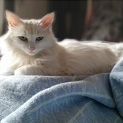 How to repair your blanket...