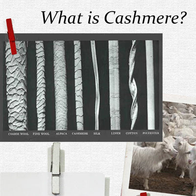 What is Cashmere?