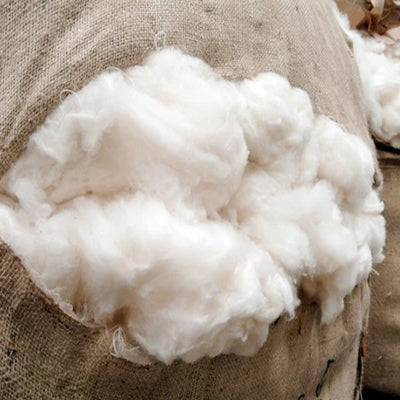The Wonders of Australian Merino Wool!